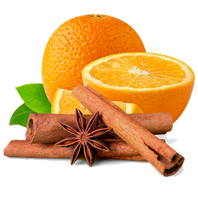 logo Cannelle orange